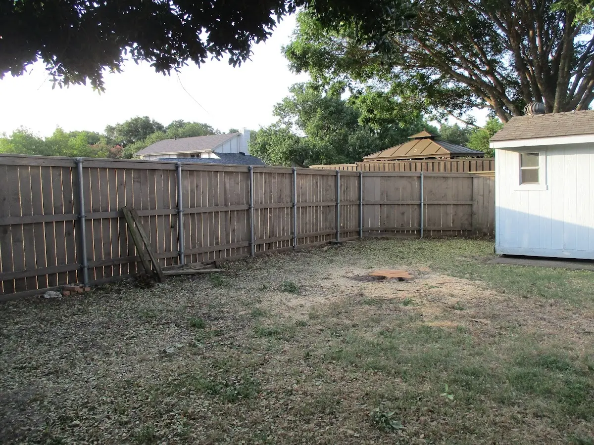 Cleared yard after professional tree removal in West Columbia